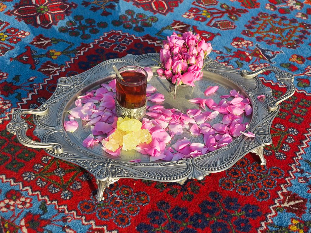 One-Day Rose Harvest & Rosewater Festival of Kashan	